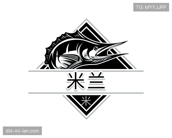 解读米兰世界杯